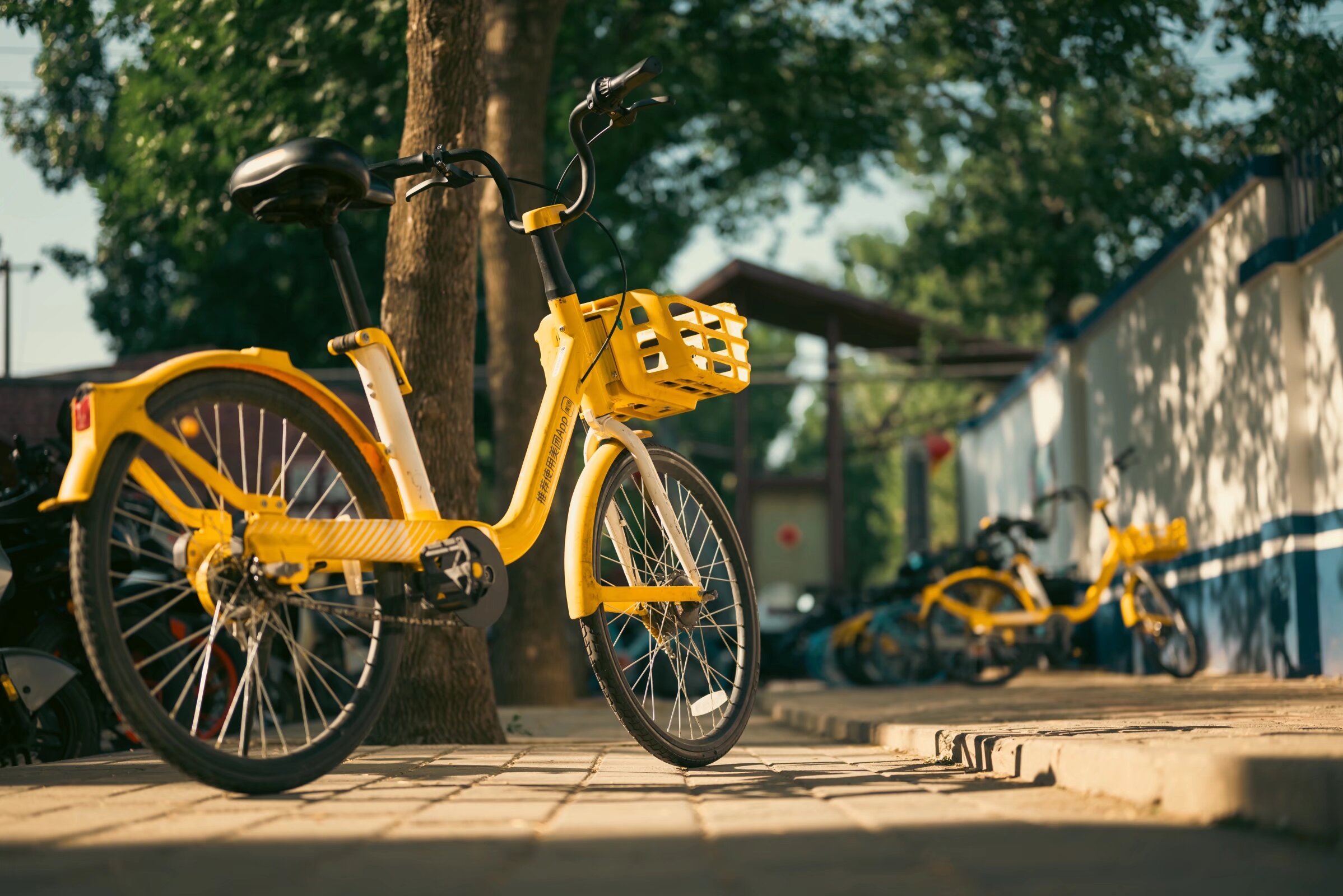 A little yellow bike in the sun