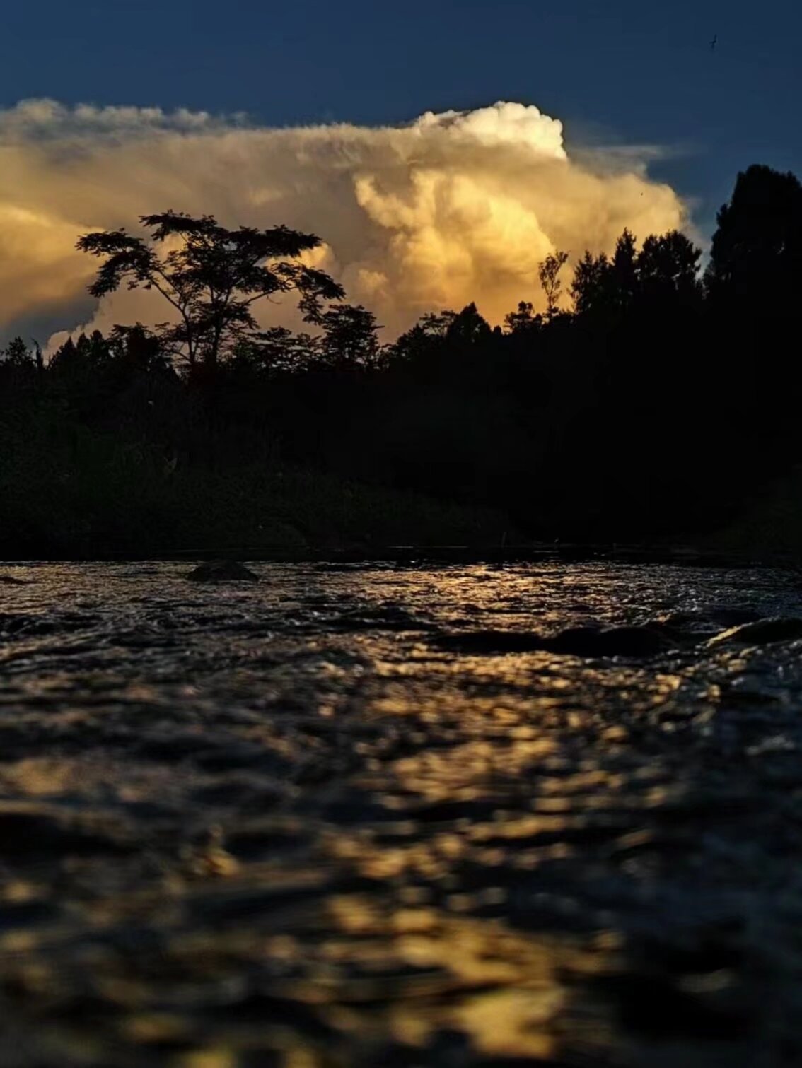 I don't remember where it was taken