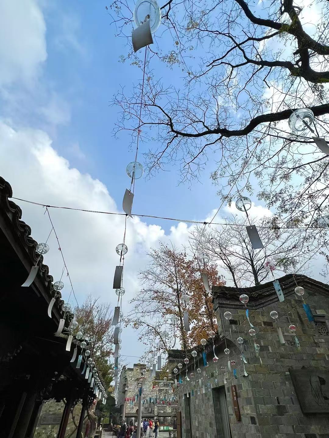 えいせんのうそうのふうりん