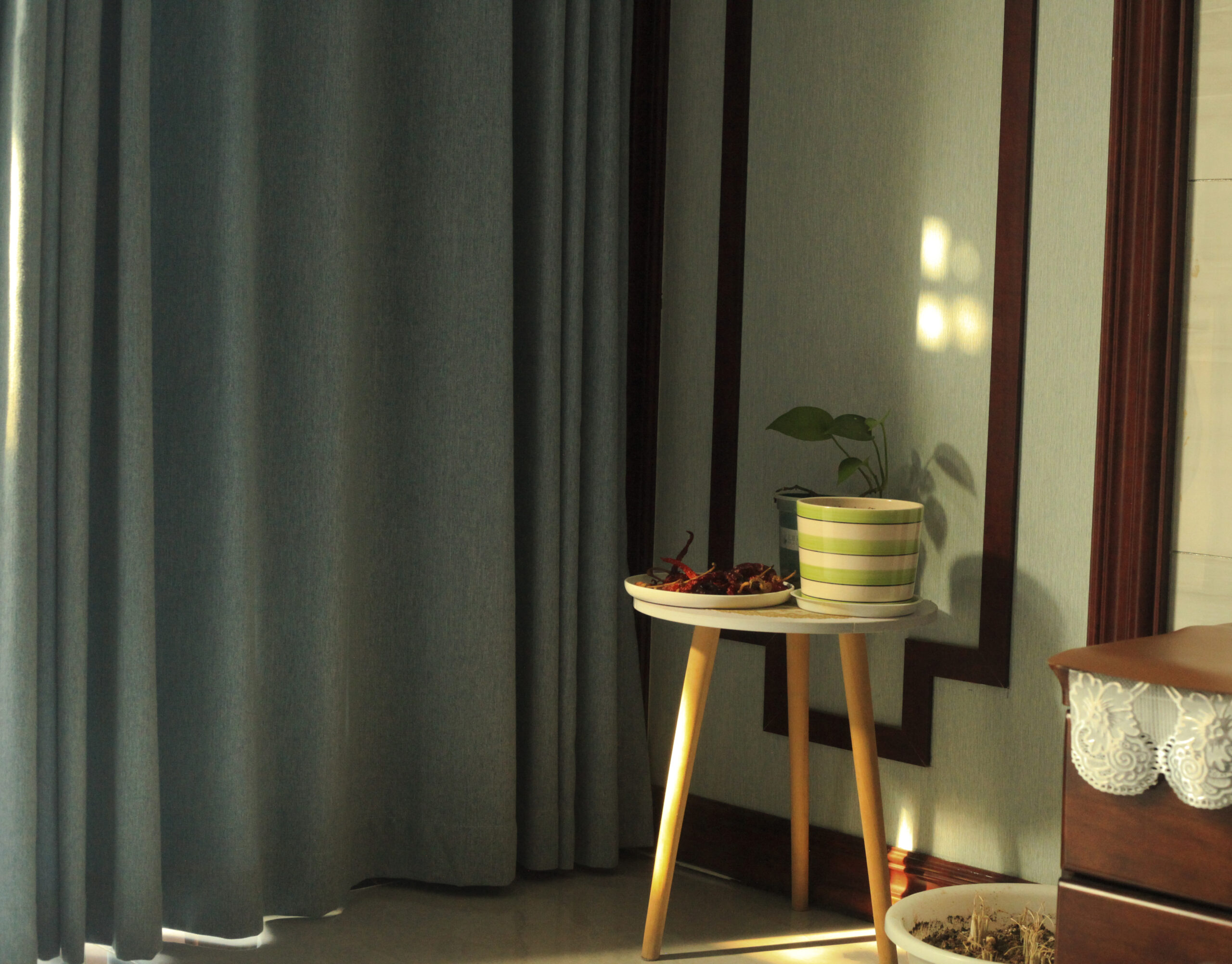 Little peppers growing in the flower pot