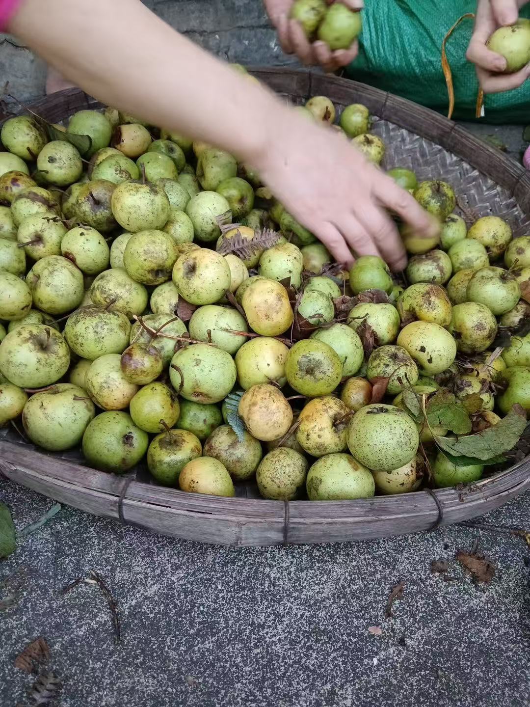 You must have no idea what this is.