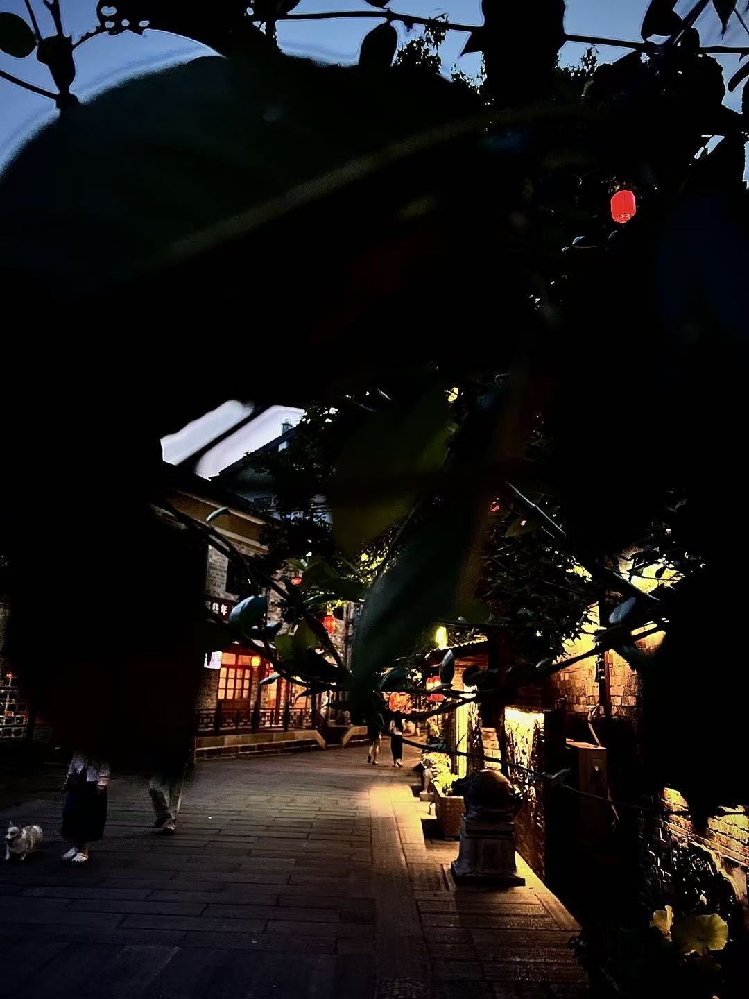 Nightscape of Yongquan Town 04